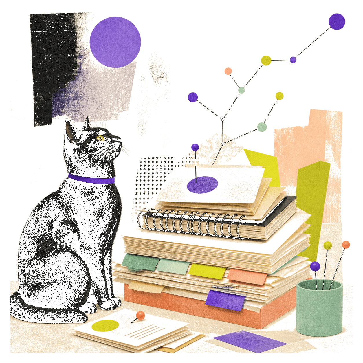 Hanks - Diretor de Arte Felino